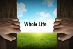 Whole Life Insurance Policy